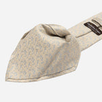 Champagne Italian Designer Silk Tie