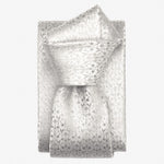 Italian Designer Silver Silk Necktie