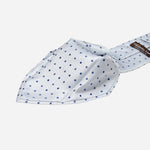 Sky Blue Polka Dot Italian Silk Tie