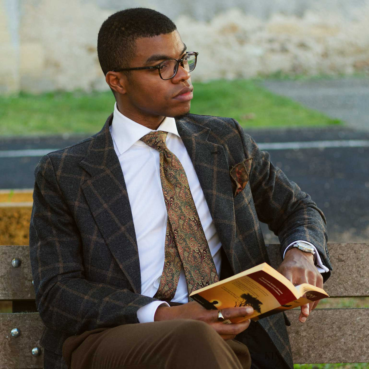 Men's luxury designer paisley silk tie
