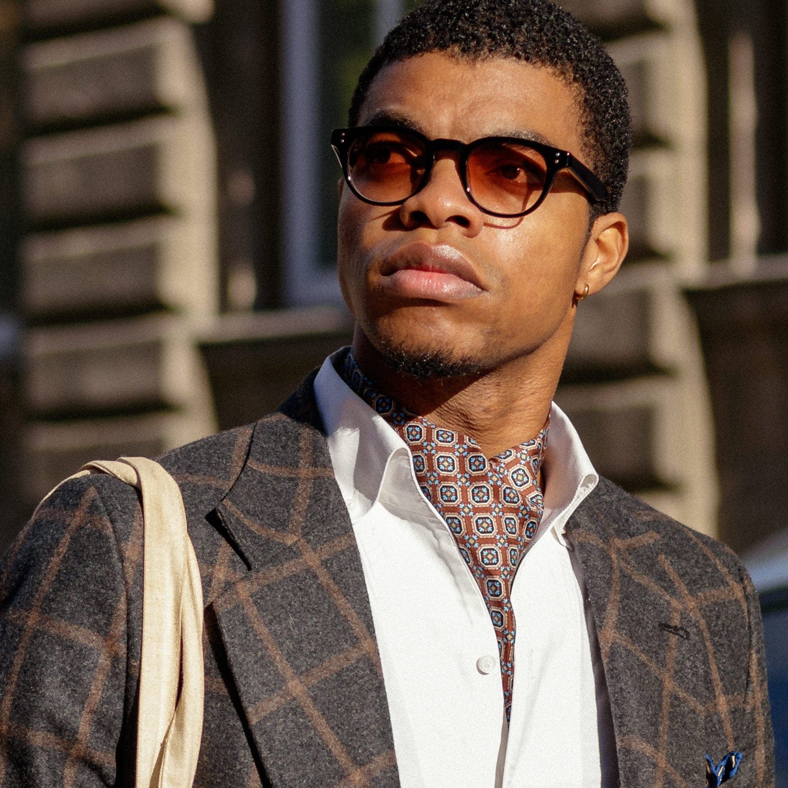 Brown Silk Ascot Tie Day Cravat - Made in Italy