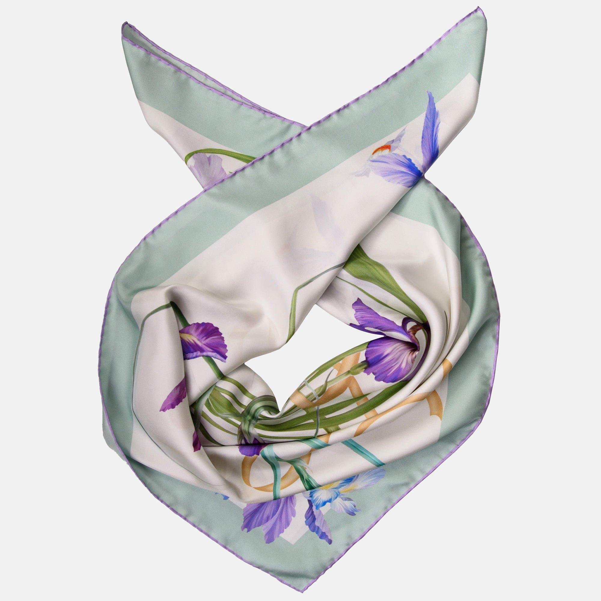 Scarves & Silk scarves Sciarpe & Foulard main image 1