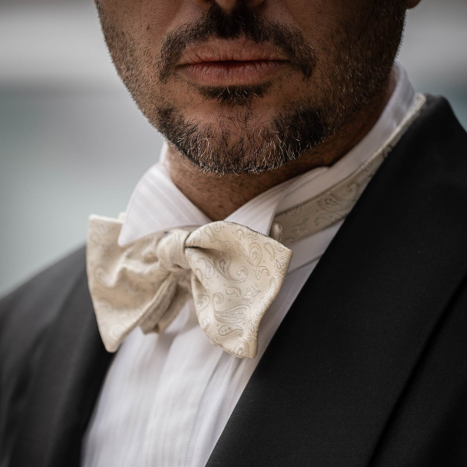Men's Italian Silk Bow Tie - Ivory Paisley